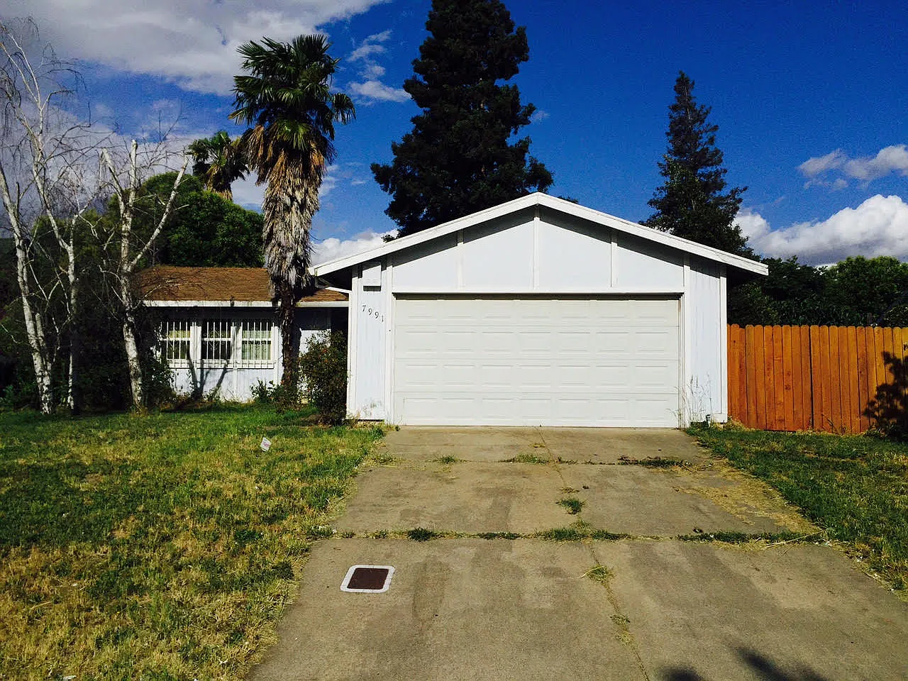 7991 Newgate Dr photo 1