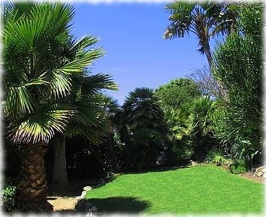 Private Tropical Yard