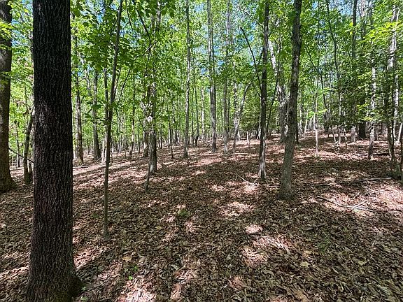 2nd image of 0 Gold Mine Hwy