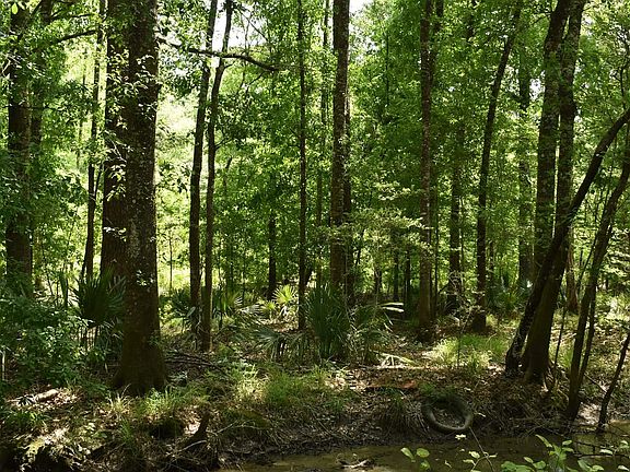2nd image of Fire Tower Rd