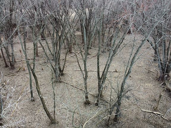4th image of LOT 2 Palm St