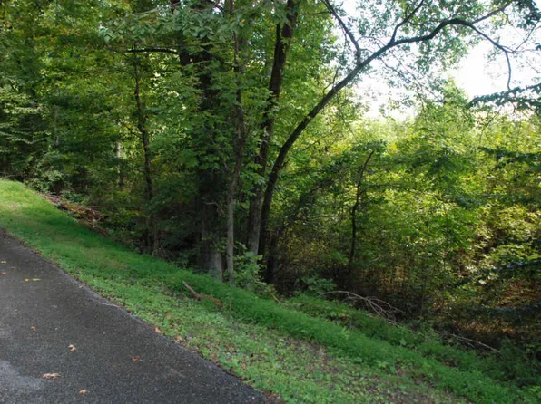 Vann Dr, Harriman, TN 37748