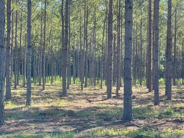 TBD Coventry Rd. Lot 4, Nichols, SC 29581