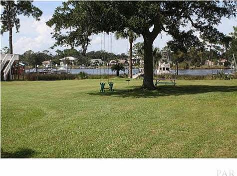 LOVELY OAK SHADE TREE