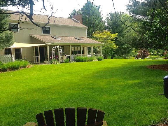 Back yard