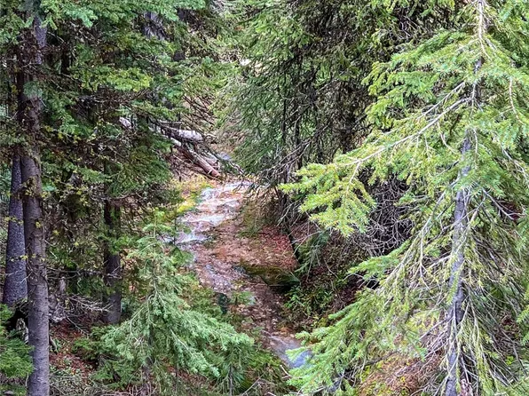 Nhn Red Lion Rd, Anaconda, MT 59711