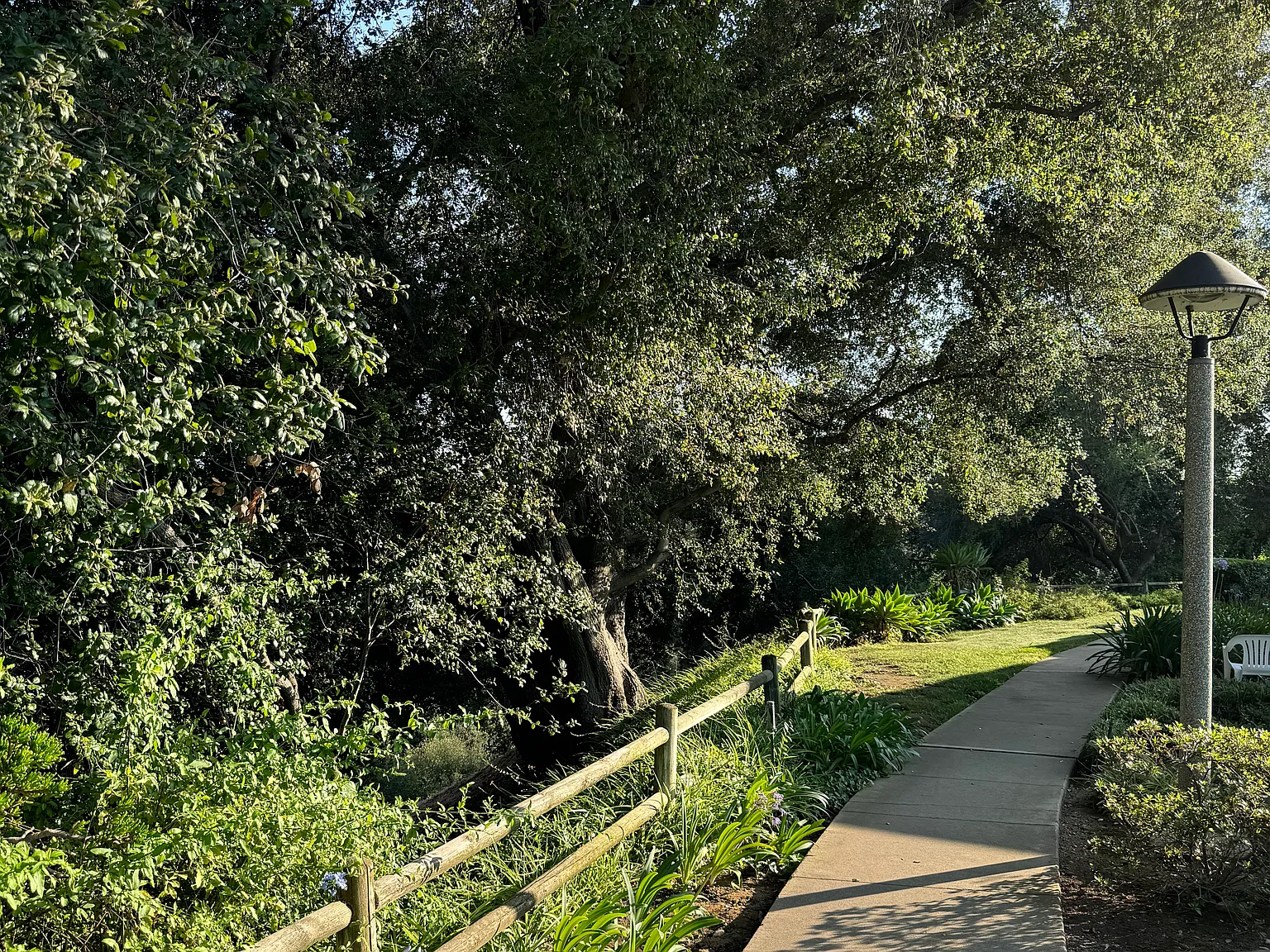 W Via Vaquero, San Dimas — Photo 3