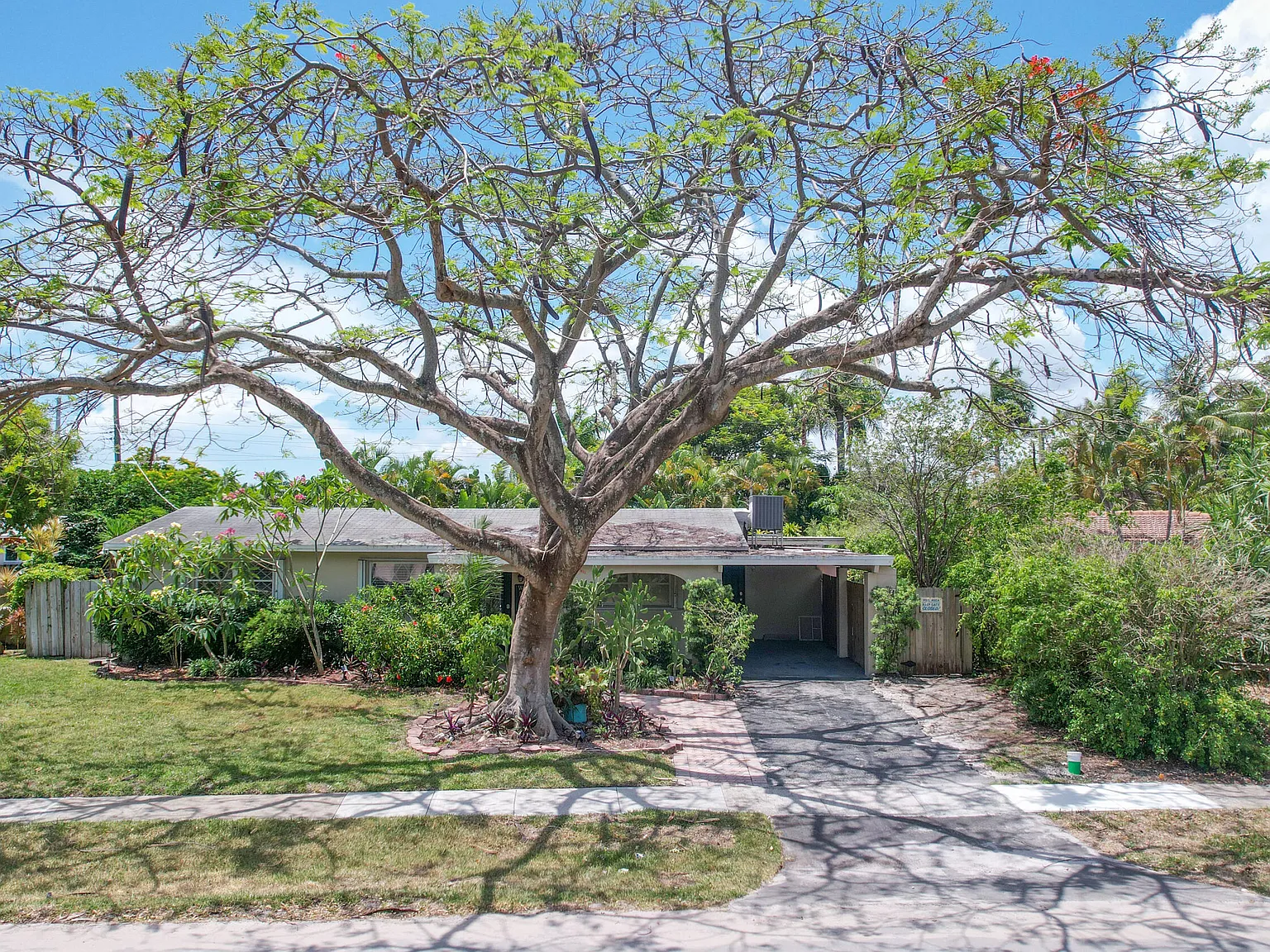 3 bed, 2.0 bath, 1458 sqft, $5,000 — Photo 2