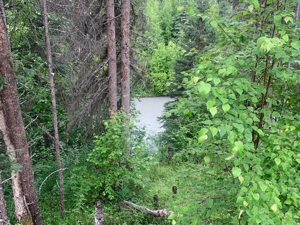 13653 E Wilderness Rim Rd, Willow, AK 99688