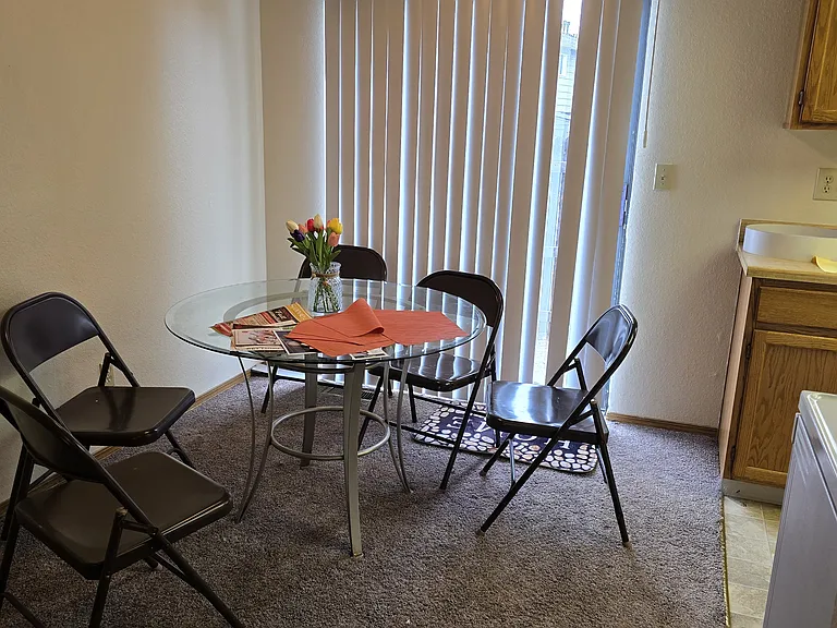 1204 Soaring Eagle Dr — Photo 4