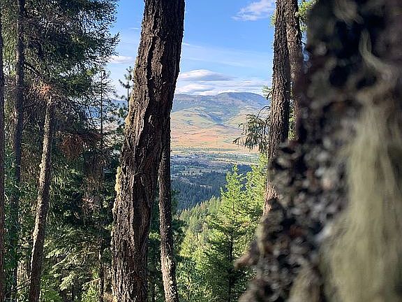 A Lookout clearing view