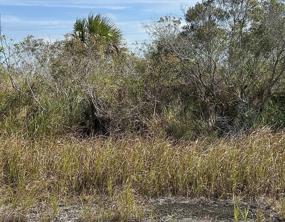 1st image of 2995 Ell Place SW