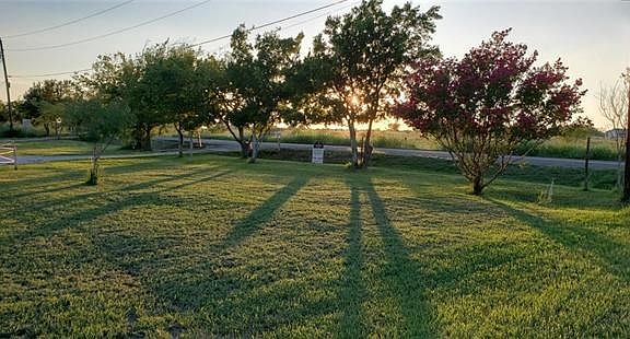 Nice landscape with trees. View to Linden St.