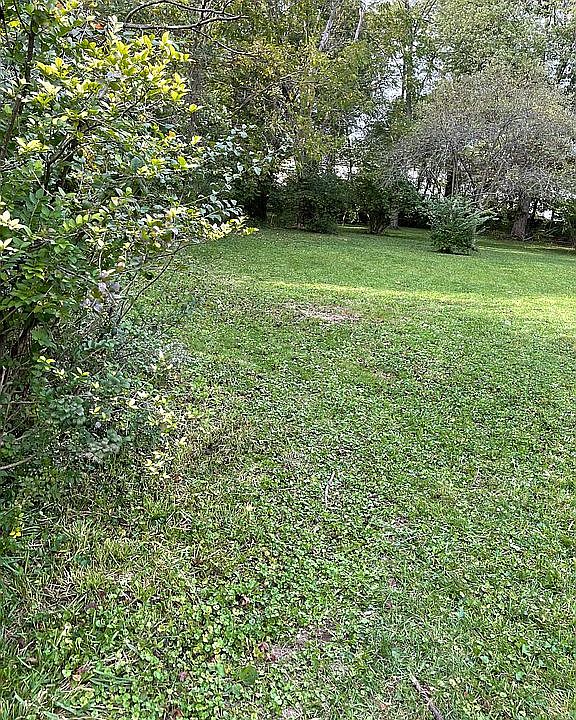 1st image of Minerva Ave #110002668