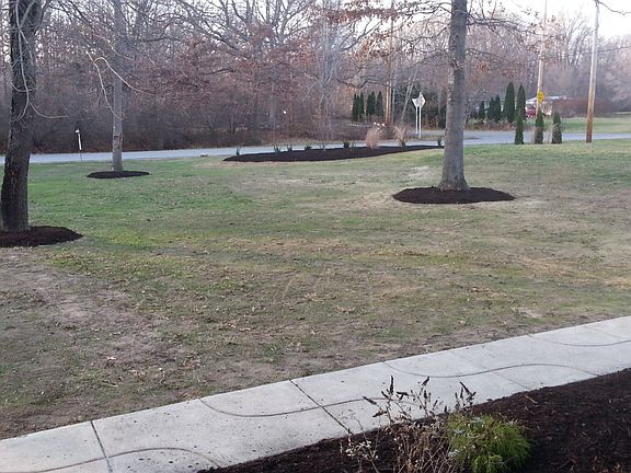 Front Yard
