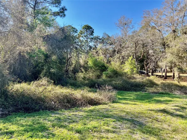 17739 Drayton St, Spring Hill, FL 34610