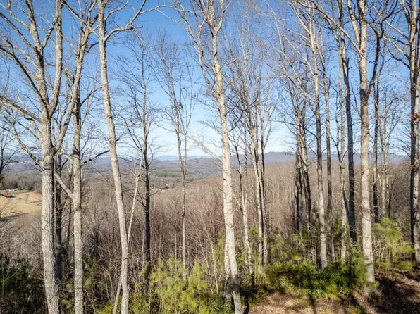 89 1300th, Blairsville, GA 30512