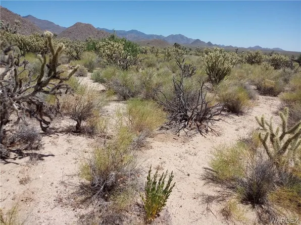 11844 S Alan Rd, Yucca, AZ 86438