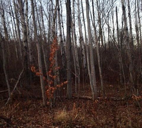 2nd image of Owego Tpke