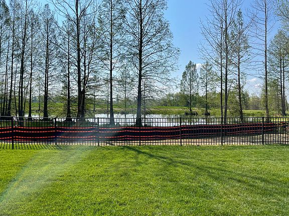 View from patio