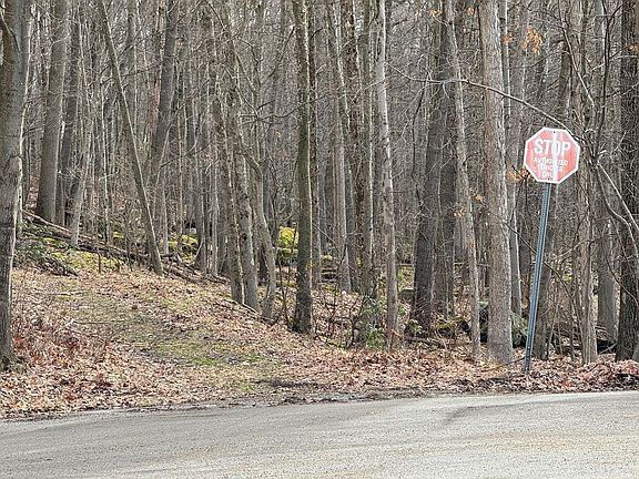 2nd image of 0 Juniper Dr
