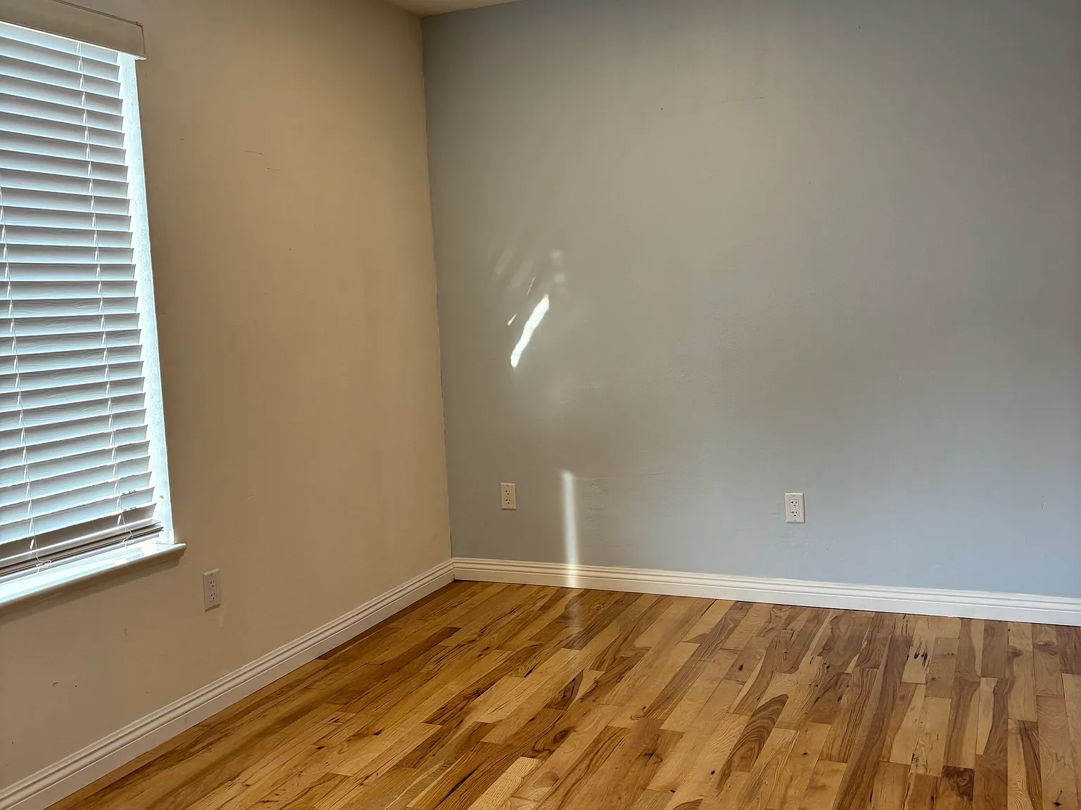 3029 W Orangewood Ave — Photo 4