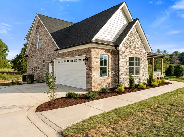 The Tulip Plan, Hazel Farms