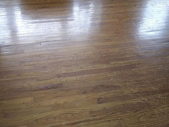 4th image of 2327 Bleigh Ave