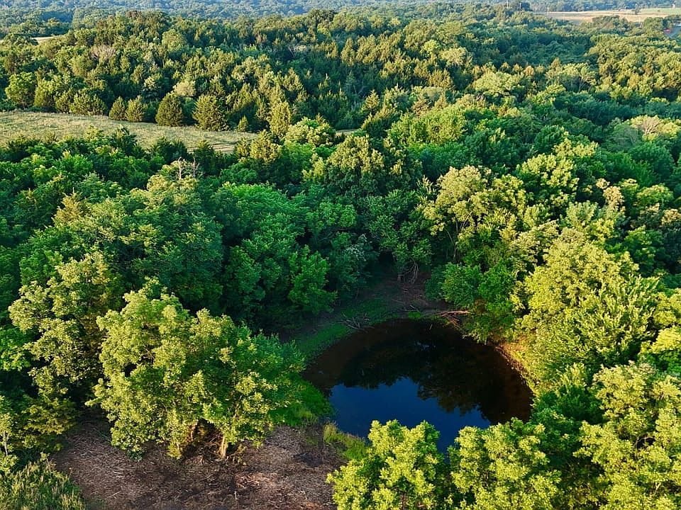 Dji Fly 20260617 064750 0448 1781712311495 Photo