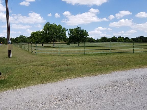 Front of property pecan tree
