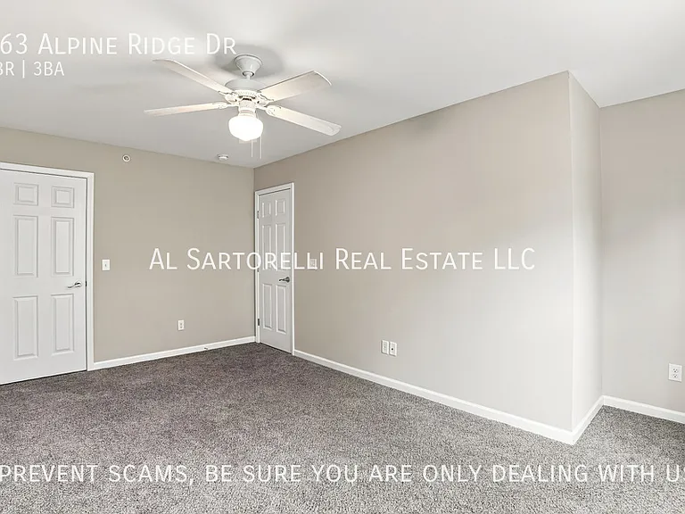 163 Alpine Ridge Dr — Photo 27