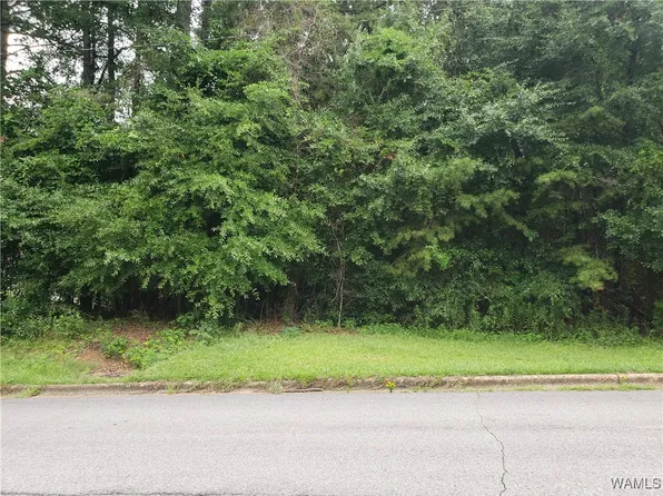 22nd Ave NE, Tuscaloosa, AL 35404