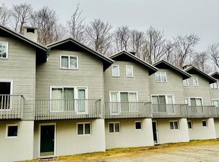 8 Shagbark Rd, Bondville, VT 05340