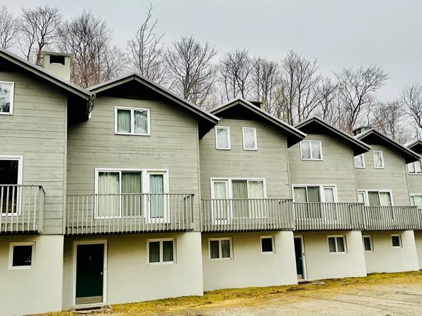 8 Shagbark Road #8, Winhall, VT 05340