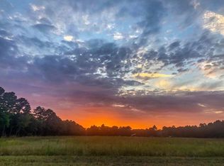 6903 Highway 121 SE, Surrency, GA 31563