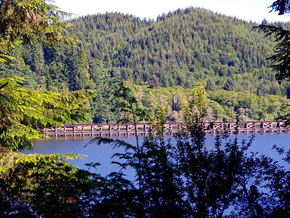 Rail road tracks on lake