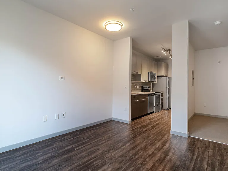 Living Area and Kitchen with Hard Surface Flooring
