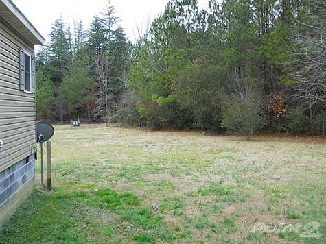 Back Yard 1