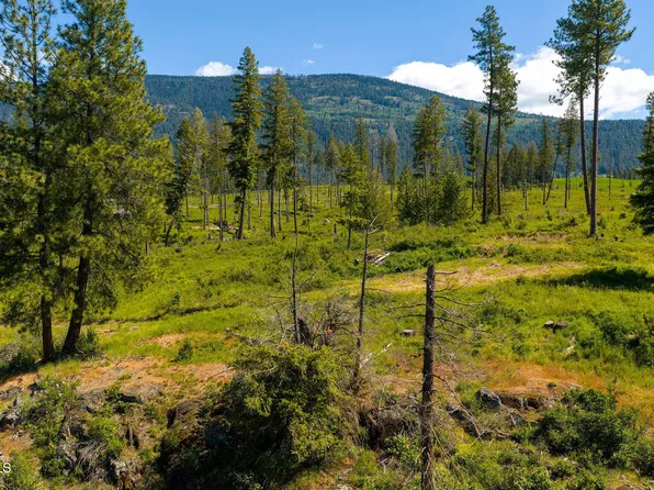 Nna This Way Road Acres Lot 3-20, Bonners Ferry, ID 83805