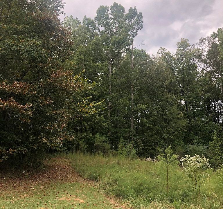 2nd image of 895 Hickory Ln