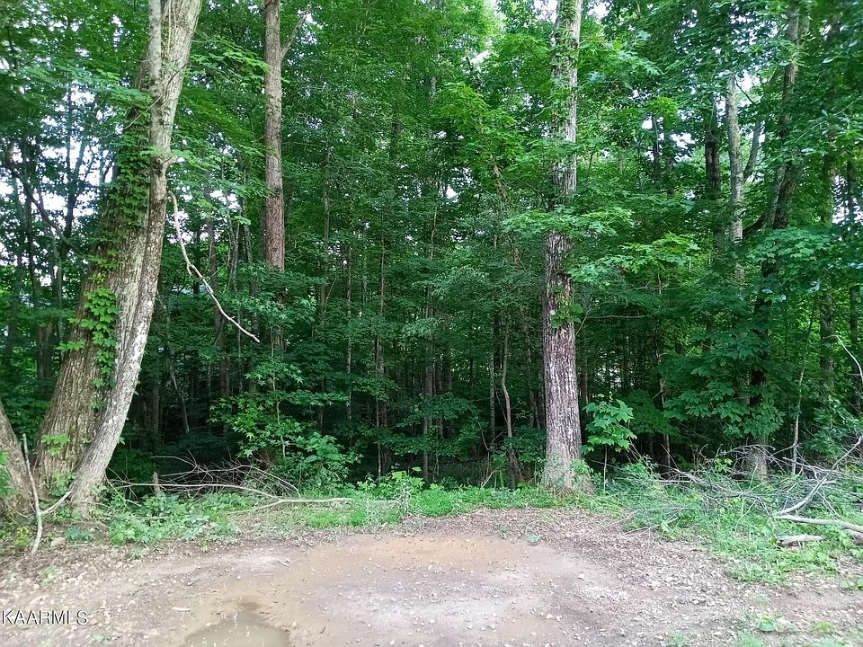 2nd image of Edgewood Dr