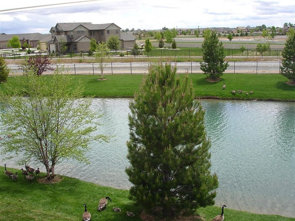 No Back Yard Neighbors