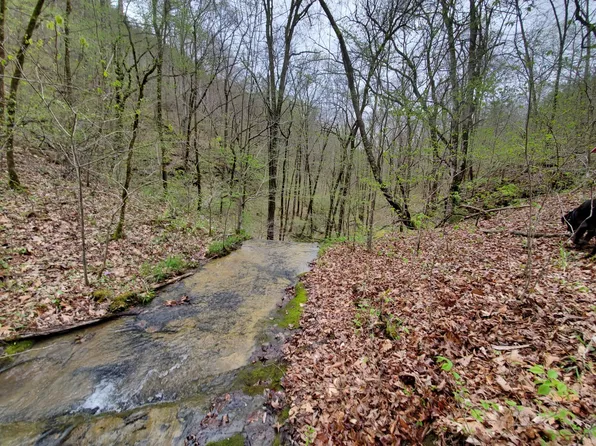 6004 Old Hohenwald Rd Lot 127, Linden, TN 37096