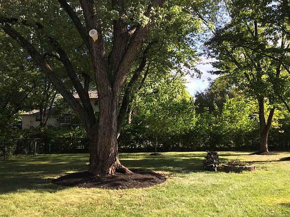 Backyard and firepit. Fully fenced!
