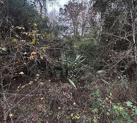4th image of 10 Ponderosa Cir