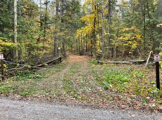 0 Little Silver Lake Way, Trent Lakes, ON K0M 1A0