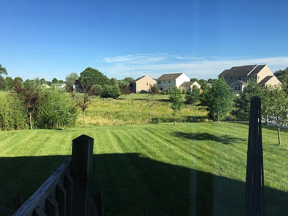 Back yard