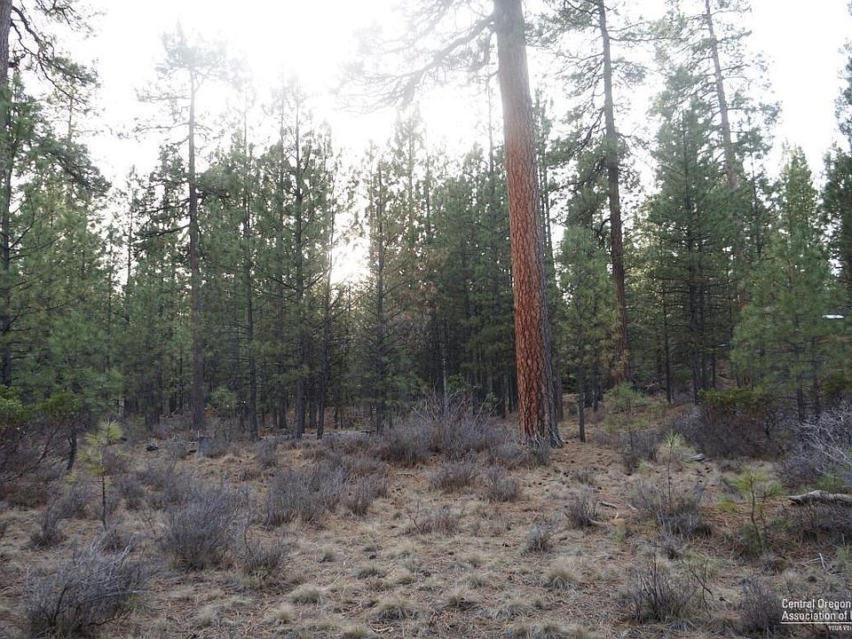 2nd image of 13675 Hawksbeard Rd