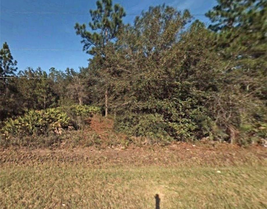 1st image of 4824 Butternut Ave #5