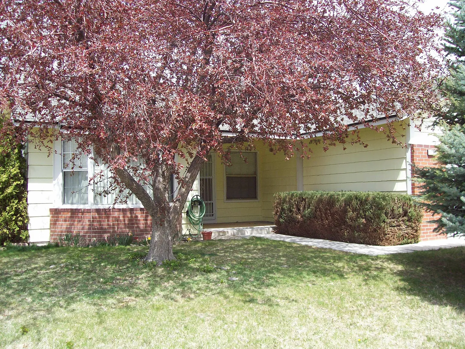 1756 Clover Leaf Dr photo 1